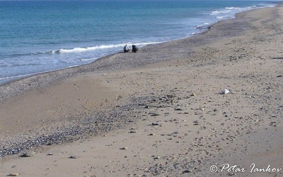 Strand von Shabla